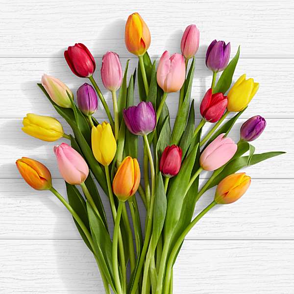 Best Flower Gifts For Birthdays | Flowersandflowerthings | Flower gift  ideas, Amazing flowers, Flower gift