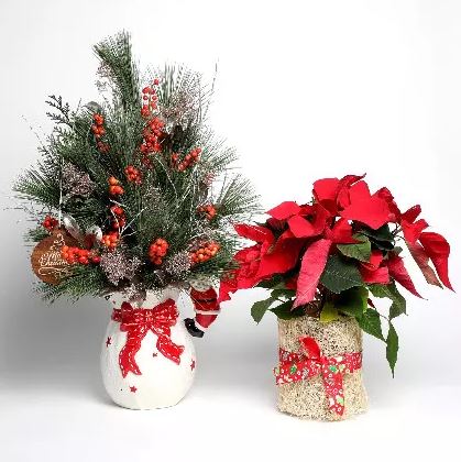 Jolly Santa Christmas Tree with Poinsettia
