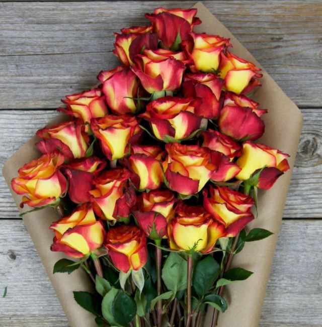Yellow with Red Tip Roses