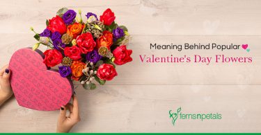 Know the Meaning Behind Popular Valentine’s Day Flowers