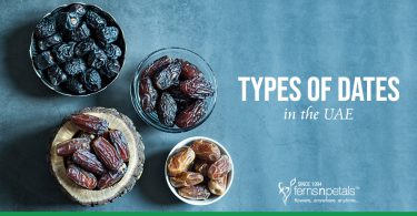 10 Types of Dates You Can Find in the UAE