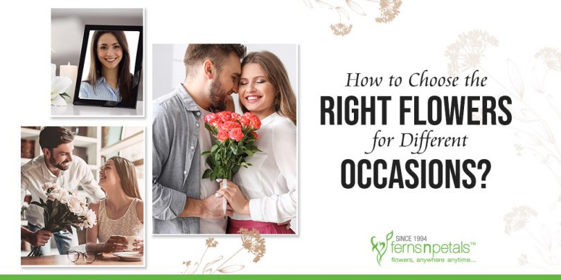 How to Choose the Right Flowers for Different Occasions?