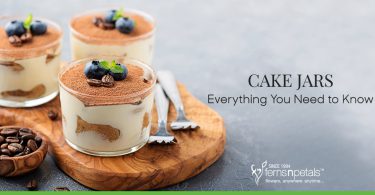 Cake jars: Everything You Need to Know