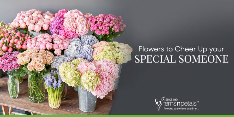 Flowers to Cheer Up your Special Someone