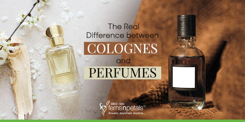 The real difference between cologne and perfume