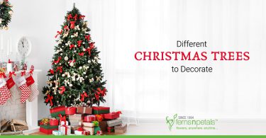 Different Christmas Trees to Decorate