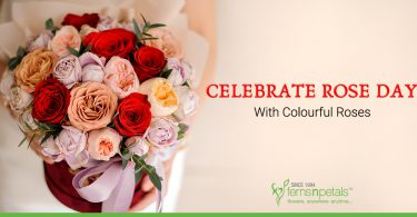Celebrate-Rose-Day-with-Colourful-Roses