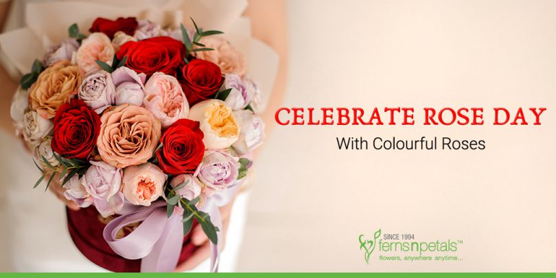 Celebrate-Rose-Day-with-Colourful-Roses