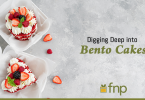Digging-Deep-into-Bento-Cakes