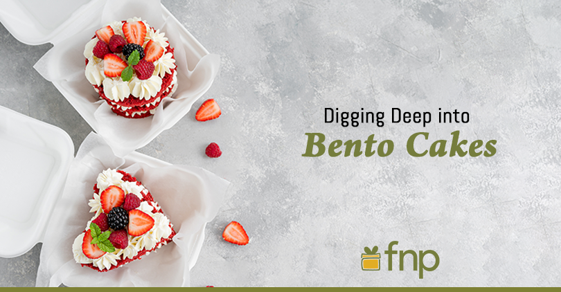 Digging-Deep-into-Bento-Cakes