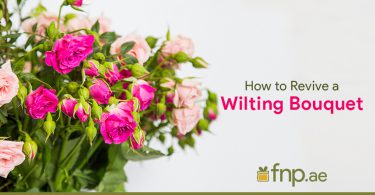 How to Revive a Wilting Bouquet
