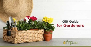 Gift-Guide-for-Gardeners