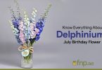 July-Birthday-Flowers