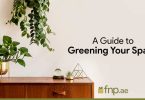 A-Guide-to-Greening-Your-Space