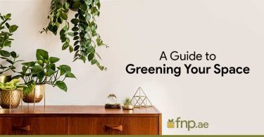 A-Guide-to-Greening-Your-Space