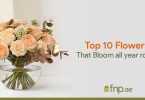 Top 10 Flowers that Bloom All Year